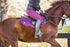 BARE Luxe Sport Saddle Pad - Jump Cut - Ruby